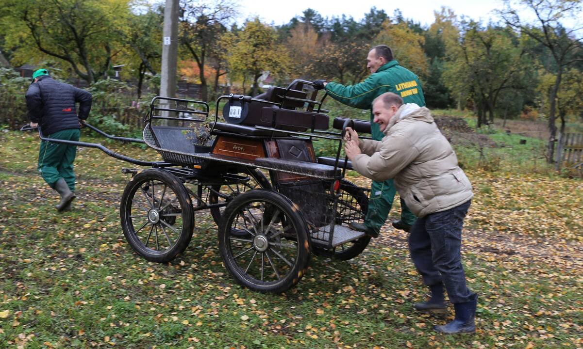 Legendinių žemaitukų lenktynės