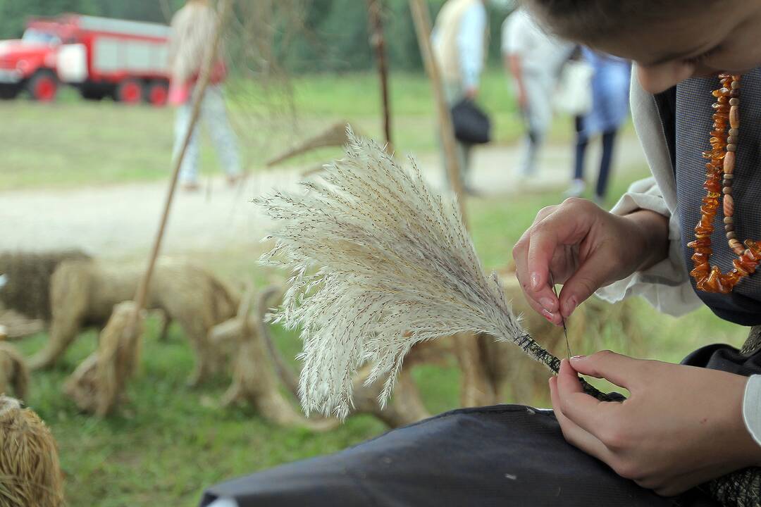 Žolinės šventimas Rumšiškėse