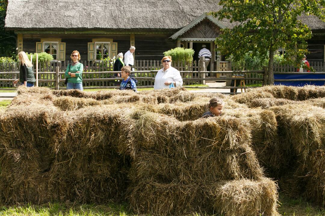 Žolinės šventė Rumšiškėse