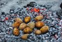 Nesudėtinga: lauže keptos bulvės – pats paprasčiausias Joninių valgis.