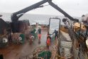 Situacija: teismai konstatavo, kad Kauno prokuroro sankcija krabus gaudžiusiai žvejų bendrovei „Arctic Fishing“ žalos nepadariusi.