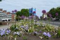 Kritika: klaipėdiečiai atkreipė dėmesį, kad pastaruoju metu mieste yra mažai žydinčių gėlių, todėl gėlynai atrodo liūdnokai.