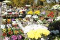 Pinigai: gėlės ir žvakės lauko prekybos vietose kainuoja brangiau.