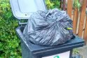 Pamoka: didžiausia rūšiavimo klaida – žaliąsias atliekas į konteinerį išmesti plastiko maišeliuose.