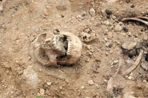 Kauno rajono miške rasta žmogaus kaukolė