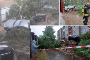 Audra siautėja: Petrašiūnuose nuvirtęs medis pakėlė automobilį