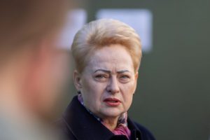 D. Grybauskaitė apie radikalių politinių jėgų stiprėjimą: ilgametės partijos galvoja apie save