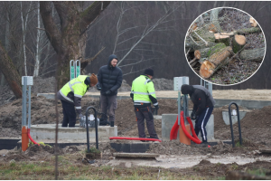 Klaipėdiečiai sunerimo: kokiu tikslu kertami krūmai?