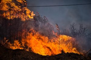Graikija toliau kovoja su miškų gaisrais – liepsnos jau pasiglemžė penkių žmonių gyvybes