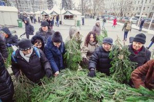 Miškininkai visoje Lietuvoje dalins nemokamas eglių šakas