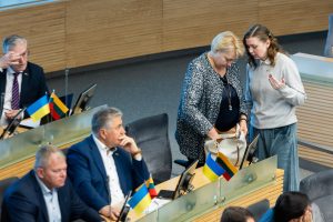 Seimo opozicija neplanuoja dalyvauti G. Landsbergio pasitarime dėl pirmalaikių rinkimų