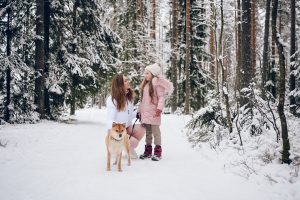 Kad neprislėgtų „cepelininis“ dangus