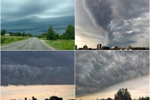 ESO dėl audros sutelkė pajėgas pietų ir vidurio Lietuvoje