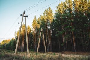 Valdžiai siūlant platinti proskynas miškų savininkai reikalauja kompensacijų