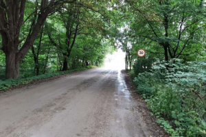 „Švyturio“ sodų bendrijos savininkams – gera žinia: prasidės žvyrkelių asfaltavimo darbai