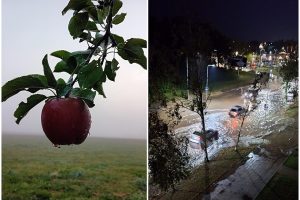 Dalį Lietuvos merkė gausus lietus: ko tikėtis artimiausiu metu?