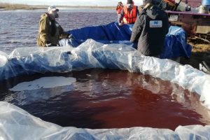 Arktyje bandoma surinkti teršalus: skelbiama, kad tai didžiausias toks išsiliejimas