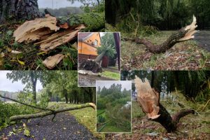 Ugniagesiai toliau šalina audros padarinius: praėjusią parą vyko į 109 iškvietimus