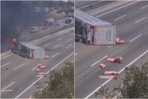 Tragiška kelionė: liepsnose skendo kiaules transportavęs sunkvežimis