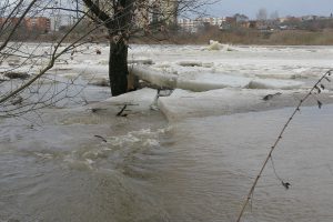 Potvyniui ruošiasi, bet ar to pakanka?