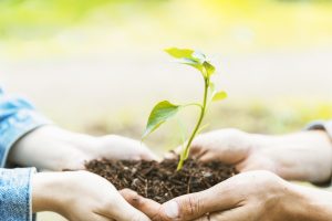 Kaune vyks tarptautinė konferencija apie ekologiją