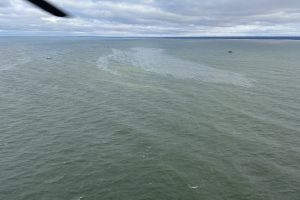 Į Baltijos jūrą išsiliejus 300 litrų naftos, aplinkosaugininkai praneša: teršalai pasieks Latviją