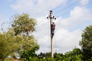 Elektros dar neturint 42 tūkst. vartotojų, D. Kreivys atmeta ESO tenkančią kritiką