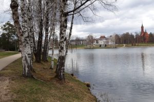 Pasiektas dar vienas rekordas: sausio 30-ąją šilo iki 10,9 laipsnio