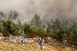 Ispanija gaisrų nusiaubtus rajonus paskelbs nelaimės zonomis