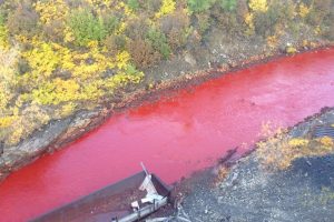 Raudonasis pavojus: kodėl Rusijos upė staiga pasruvo krauju?