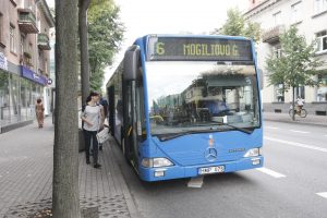 Uostamiesčio autobusams – vasaros ritmas