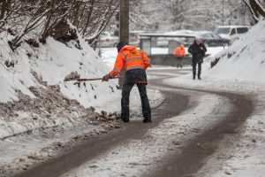 Kiekvienai Vilniaus seniūnijai – po teritorijos priežiūros specialistą