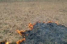 Prienų rajone išdegė 4 hektarai javų lauko
