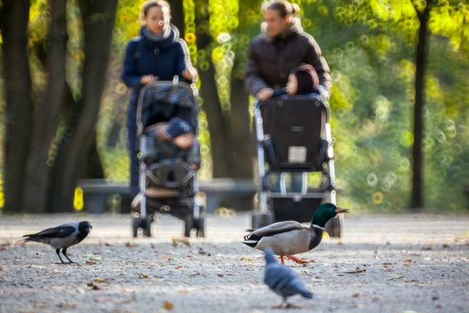 Įdomioji statistika: gimė per 11 tūkst. vilniečių, poros tuokėsi ir laivuose