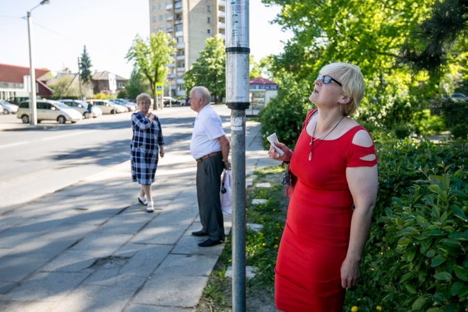 Kur dingo Taikos stotelės stoginė? 