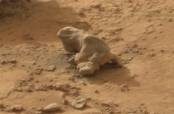 „Curiosity“ Marse nufotografavo suakmenėjusią iguaną?