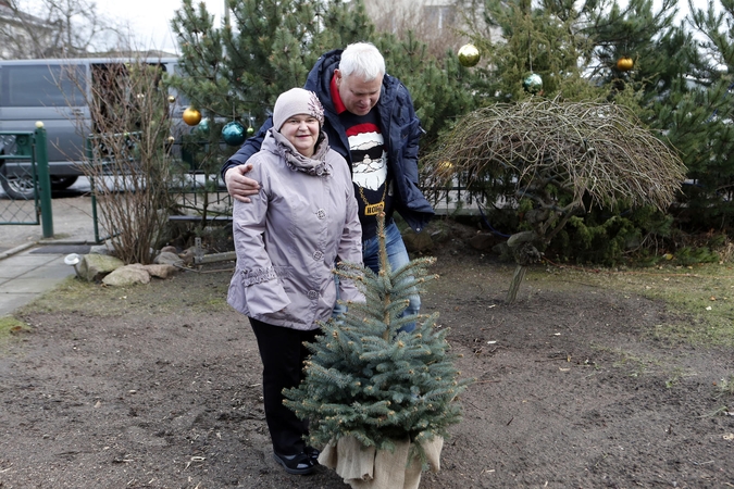 Kalėdinę eglę miestui dovanojusiems klaipėdiečiams – nauja eglutė