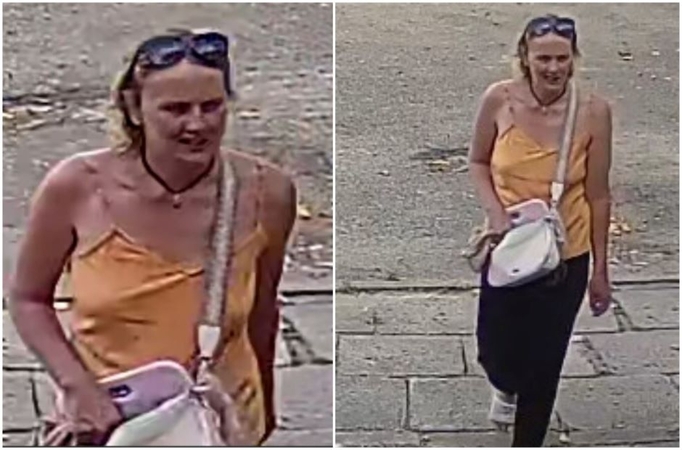 Policija prašo padėti atpažinti moterį: gali turėti svarbios informacijos apie vagystę Alytuje