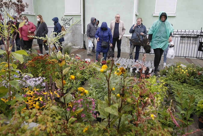 Uostamiestyje turgūs vilioja muge „Rudenojai“