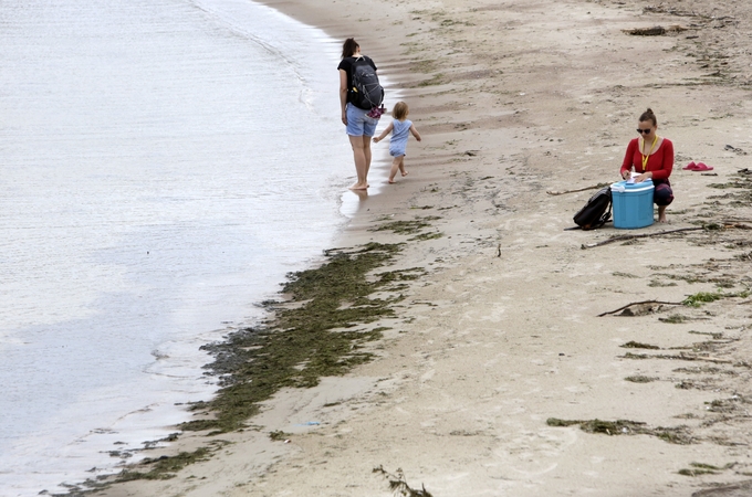 Patikrinimas: pajūryje atsiradus melsvadumblių, Klaipėdos pliažuose reguliariai tikrinama vandens kokybė.