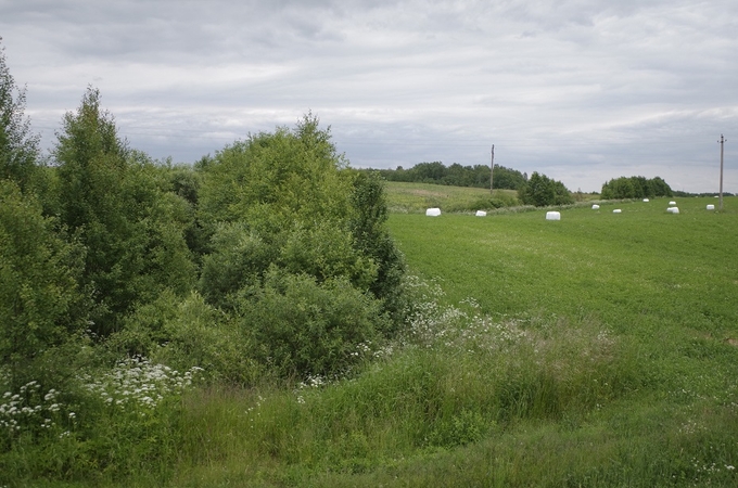 Daugiametes pievas būtina saugoti ir jų nearti, kad ateityje vėl netektų susidurti su šių pievų išlaikymo problema.