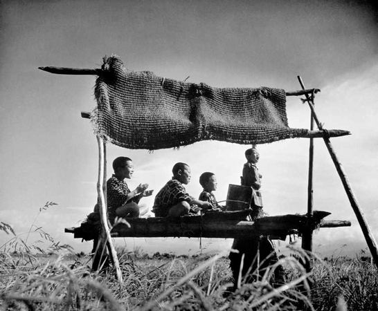 Radvilų rūmų muziejuje – Japonijos fondo fotografijų paroda
