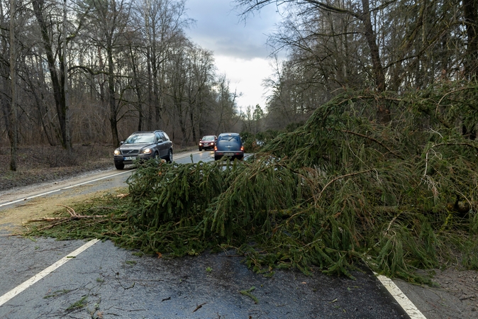 Įspėja dėl stipraus vėjo: siautės Rytų Lietuvoje ir pajūryje