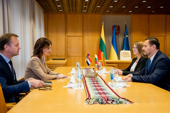 V. Čmilytė-Nielsen: Rusijos Dūmos sprendimai nepakeis požiūrio į Ukrainos vientisumą
