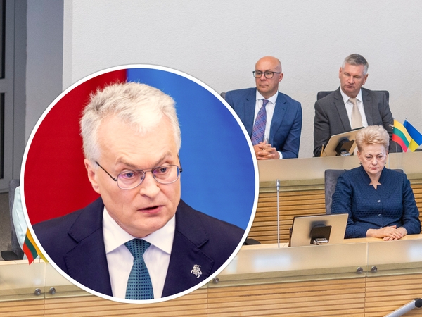 D. Grybauskaitė: daugelis G. Nausėdos išsakytų pastabų politikams – taiklios