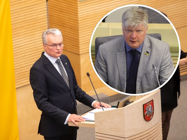 G. Nausėda: vis dar laukiame K. Navicko darbo vaisių