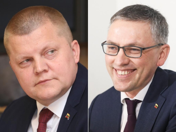 D. Gaižausko atsakas V. Bakui: siūlo slaptos informacijos auditą