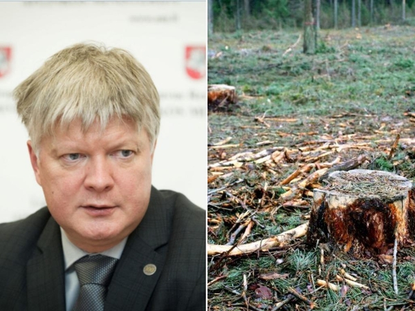 Aplinkos ministras pristatė planą, kaip žada riboti miškų kirtimus