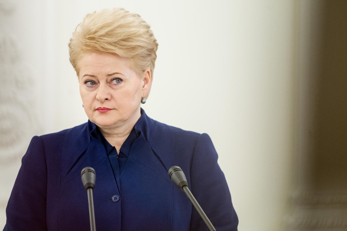 D. Grybauskaitė: atsakomybė dėl situacijos Kijeve tenka Ukrainos vadovybei