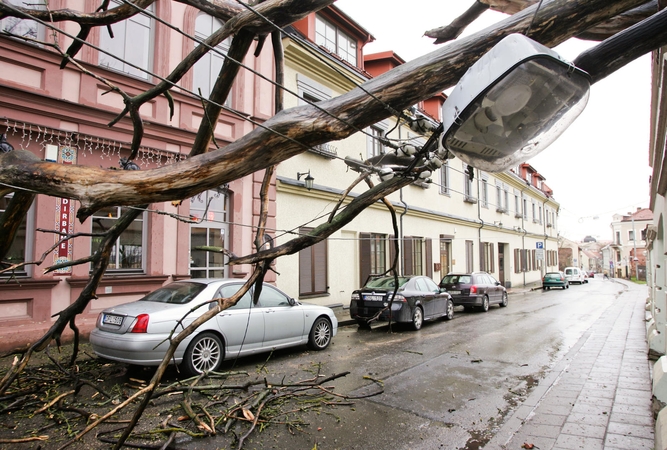 Tarnybos įspėja gyventojus: naktį numatomas stiprus vėjas